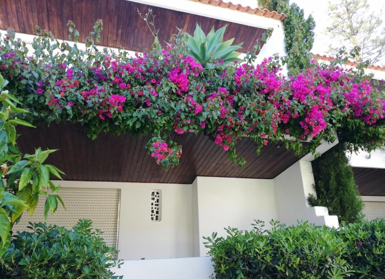 Solar De Sao Joao Aparthotel อัลบูเฟรา ภายนอก รูปภาพ